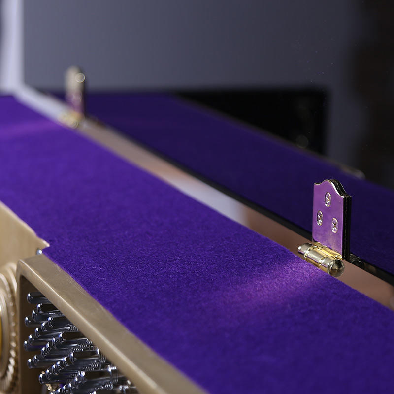 佩卓夫·爱克尔德 K126N1