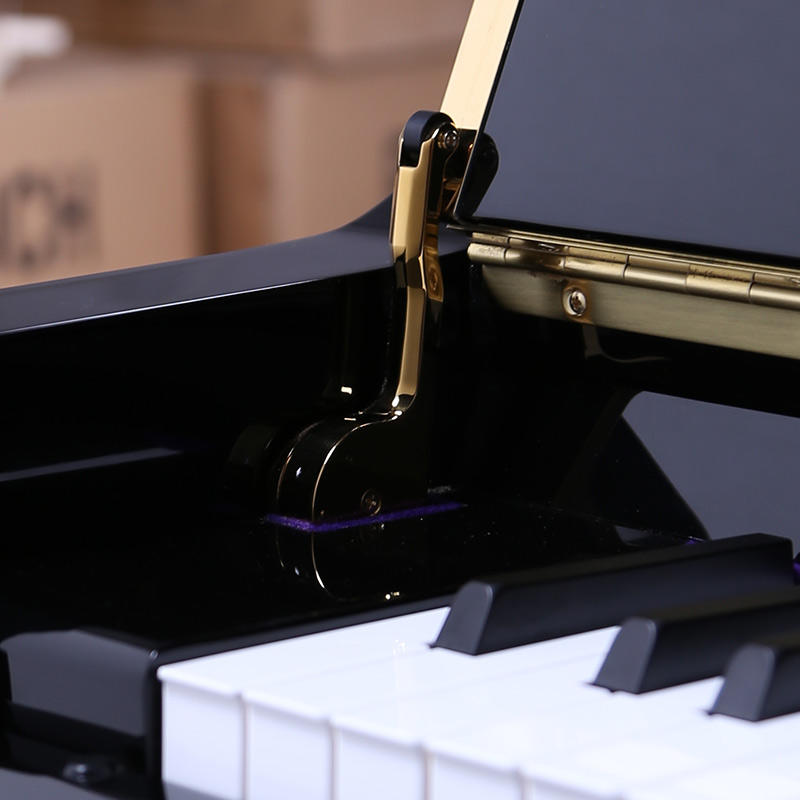 佩卓夫·爱克尔德 K120C1