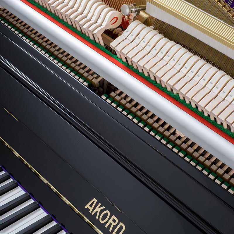 佩卓夫·爱克尔德 AK126C1