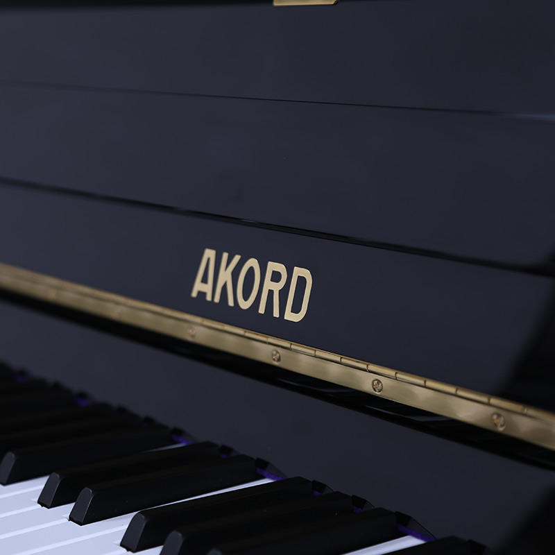 佩卓夫·爱克尔德 A122P1