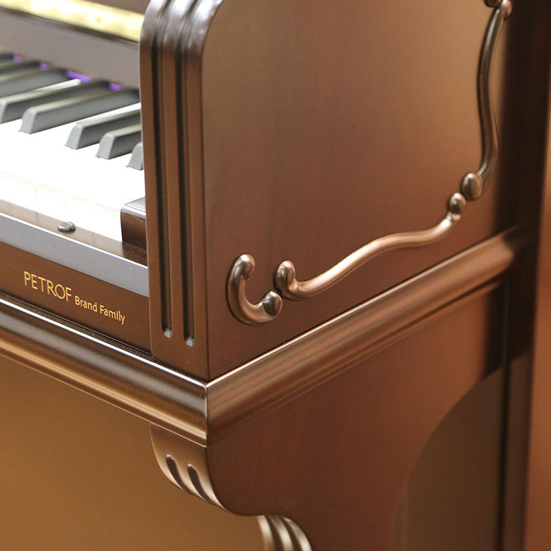 D31 Charles 查理大桥纪念款