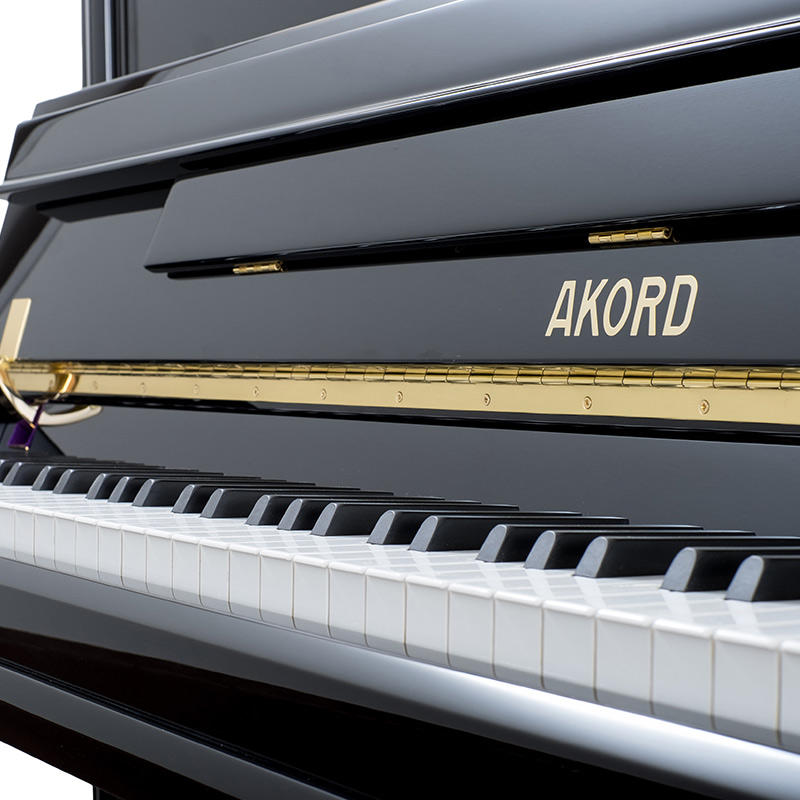 佩卓夫·爱克尔德 A120N1