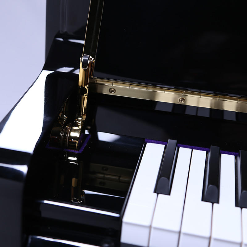 佩卓夫·爱克尔德 K120C1