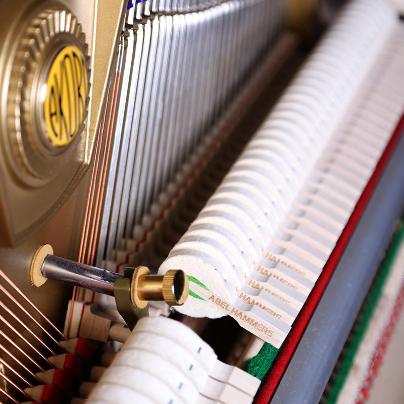 佩卓夫·爱克尔德 A122M1