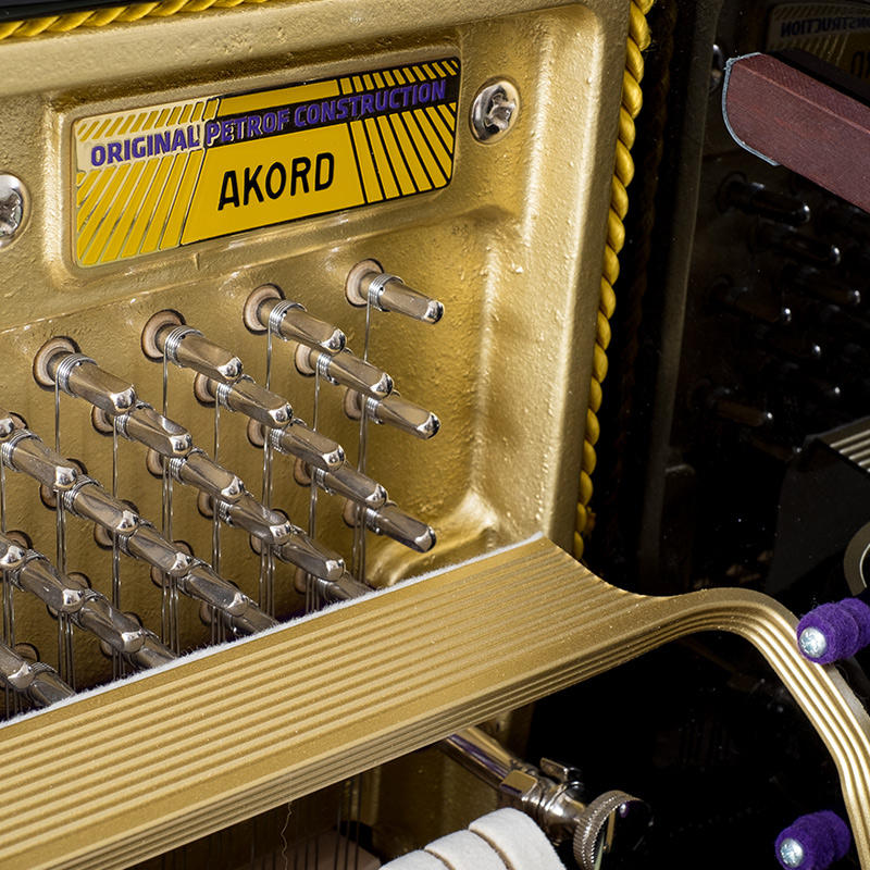 佩卓夫·爱克尔德 A120N1