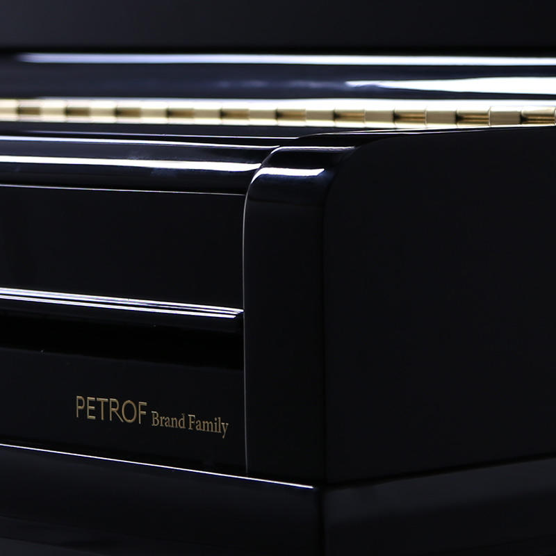 佩卓夫·爱克尔德 K126N1