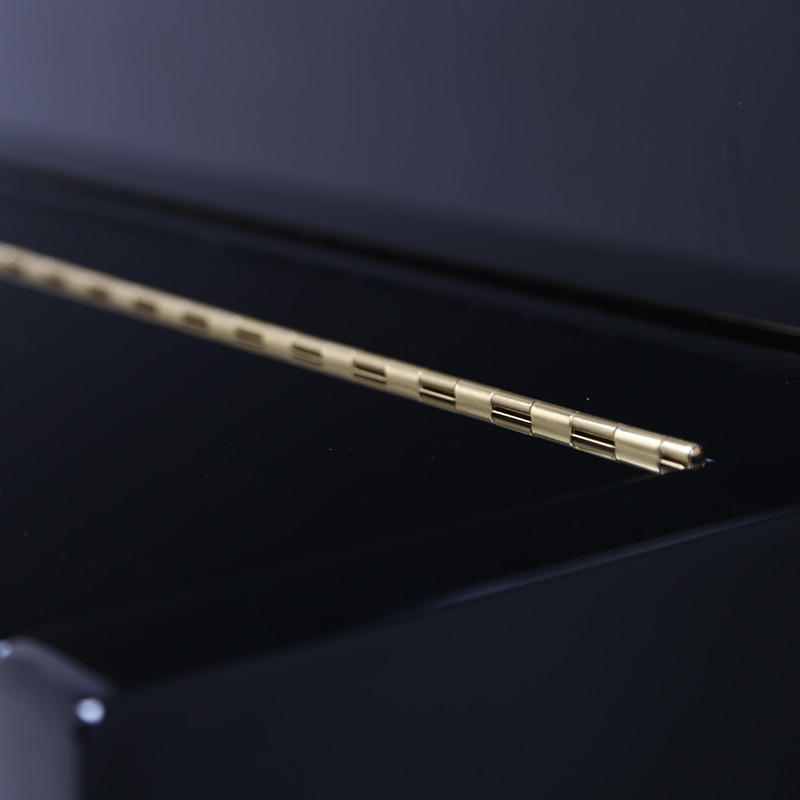 佩卓夫·爱克尔德 K123H1