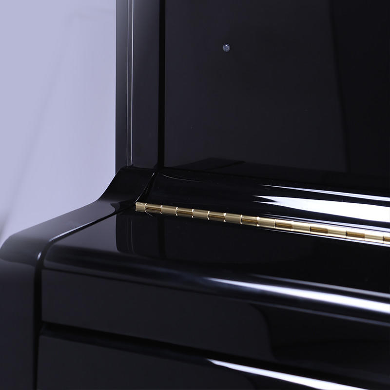 佩卓夫·爱克尔德 K120C1