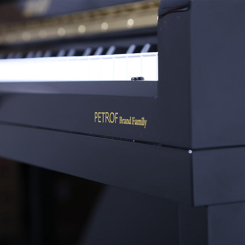 佩卓夫·爱克尔德 K120D1