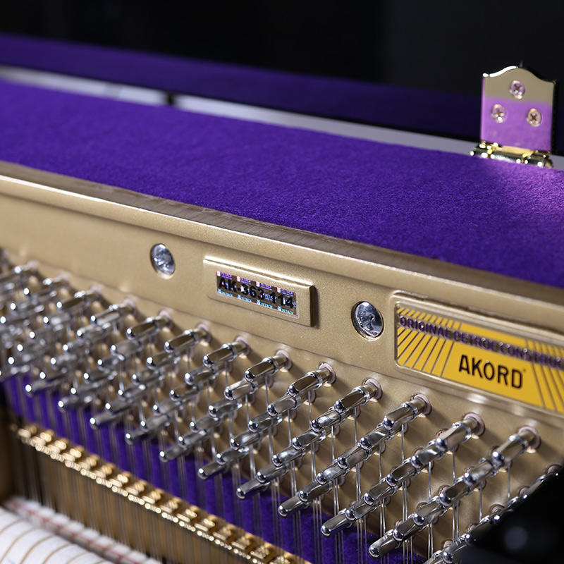 佩卓夫·爱克尔德 K126N1