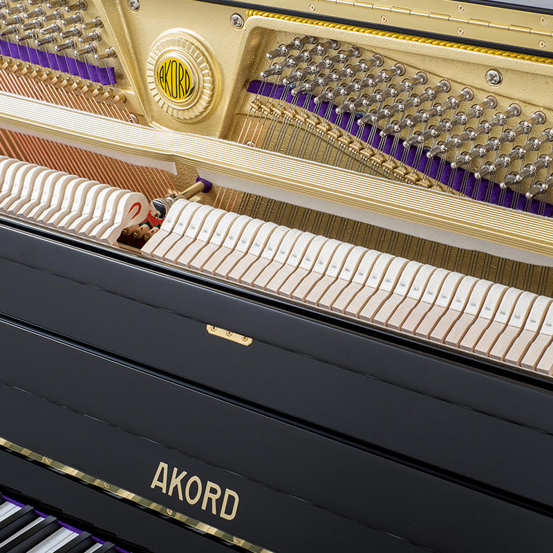 佩卓夫·爱克尔德 A118N1