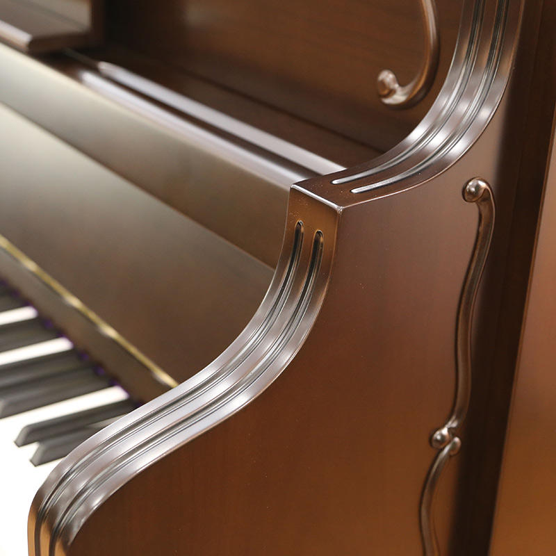 D31 Charles 查理大桥纪念款