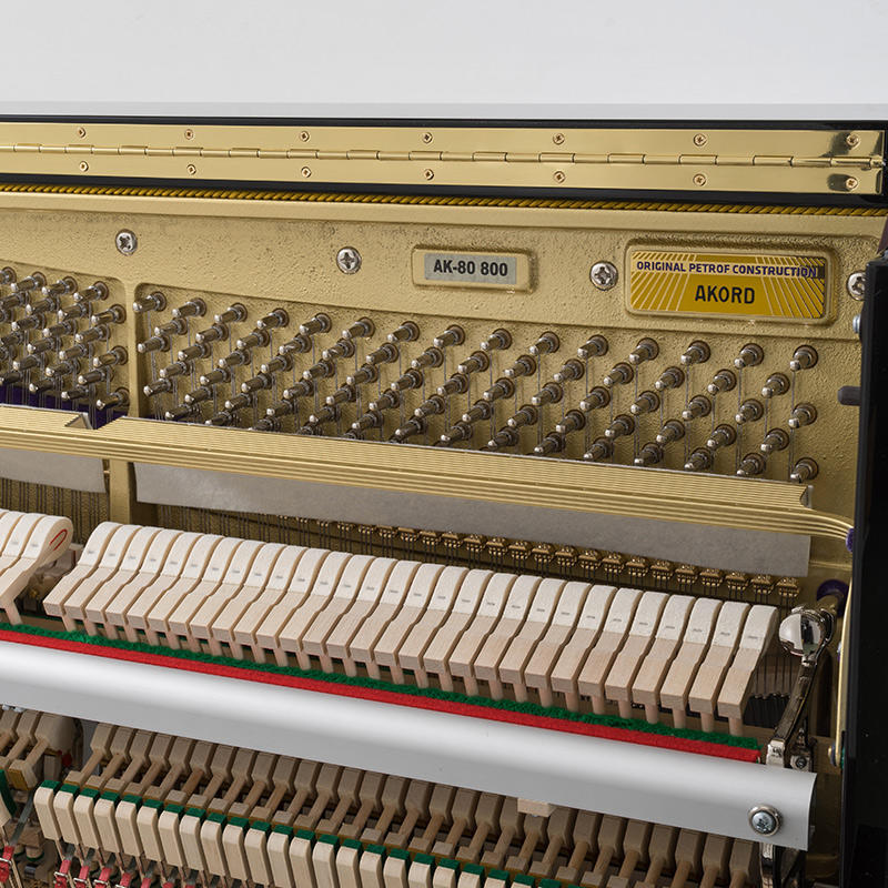 佩卓夫·爱克尔德 AK122M1