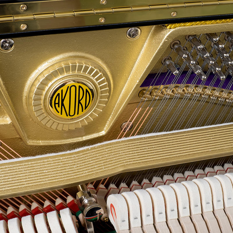 佩卓夫·爱克尔德 A120N1