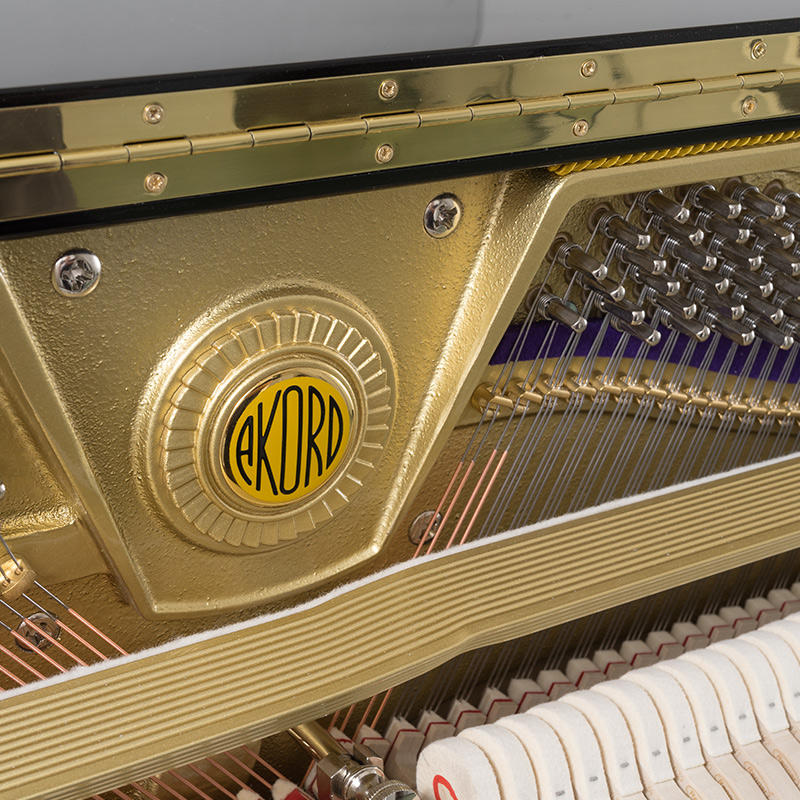 佩卓夫·爱克尔德 AK122M1