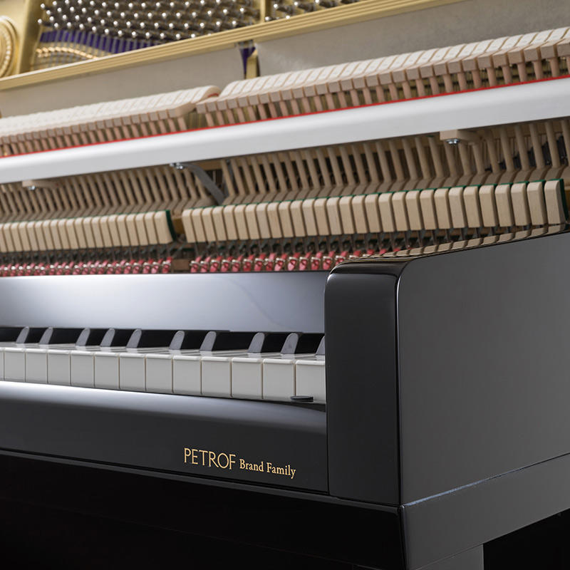 佩卓夫·爱克尔德 AK122M1