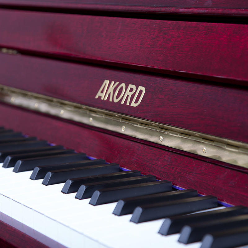 佩卓夫·爱克尔德 A126T4