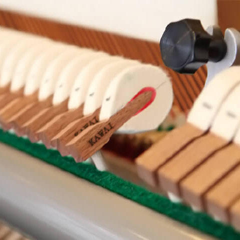 卡瓦依 TV-S25(升级)